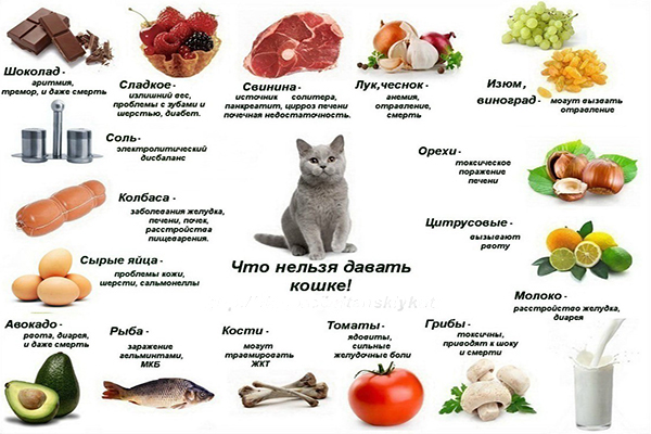 что нельзя