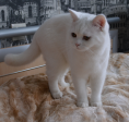 DSC 0128