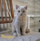 image 2022 12 20 12 44 25