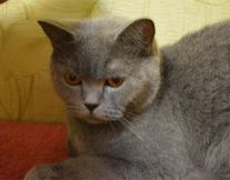Nyasha03.07 02