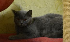 Nyasha03.07 03