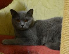 Nyasha03.07 04