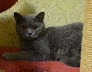 Nyasha03.07 04