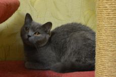 Nyasha03.07 1