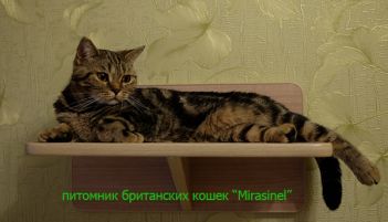 Roksana1