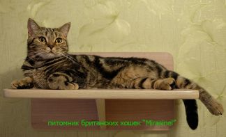 Roksana2