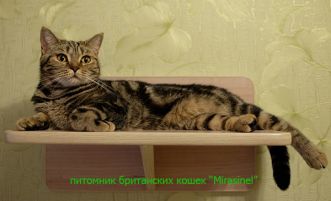 Roksana2