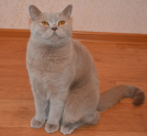 DSC 0100