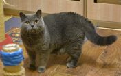 moisey03.07 02