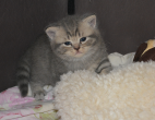 dsc 0140