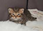 dsc 0159