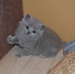 DSC 0025