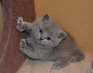 DSC 0032