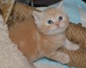 DSC 0027