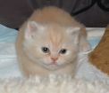 DSC 0033