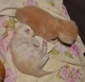 DSC 0048