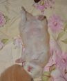 DSC 0051