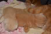 DSC 0057