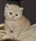 DSC 0169