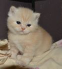 DSC 0169
