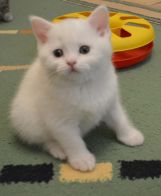 DSC 0080