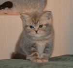 DSC 0026