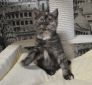 zena01 0 17.04.2020