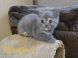 koshka24.02 g 05 06.04.22