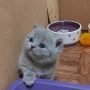 image 2023 02 22 19 53 42