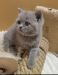 image 2023 02 22 19 56 20