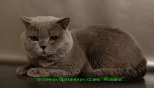 chkip12