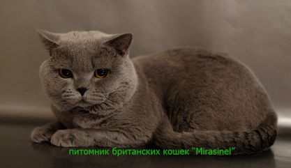 chkip12