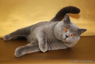 getimage 9