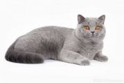 IMG5938web
