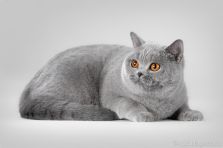 IMG 7823 web